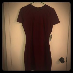 Express Burgundy Dress Sz 10